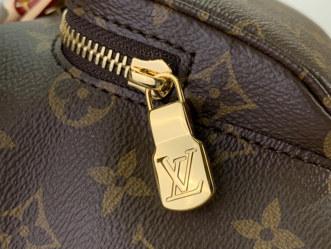 LV Bakcpack M11198