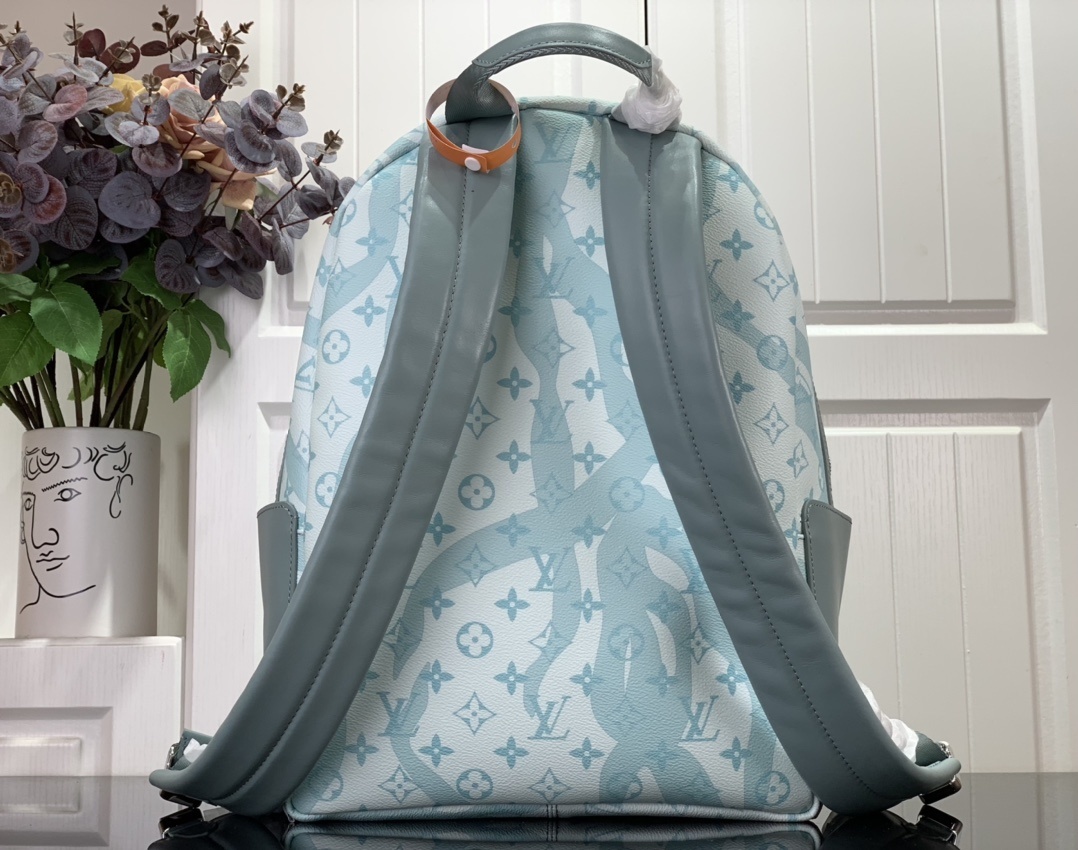 LV Bakcpack M22519 