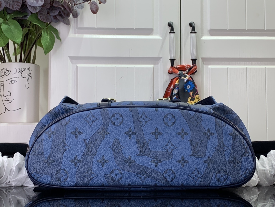 LV Bakcpack m22636 