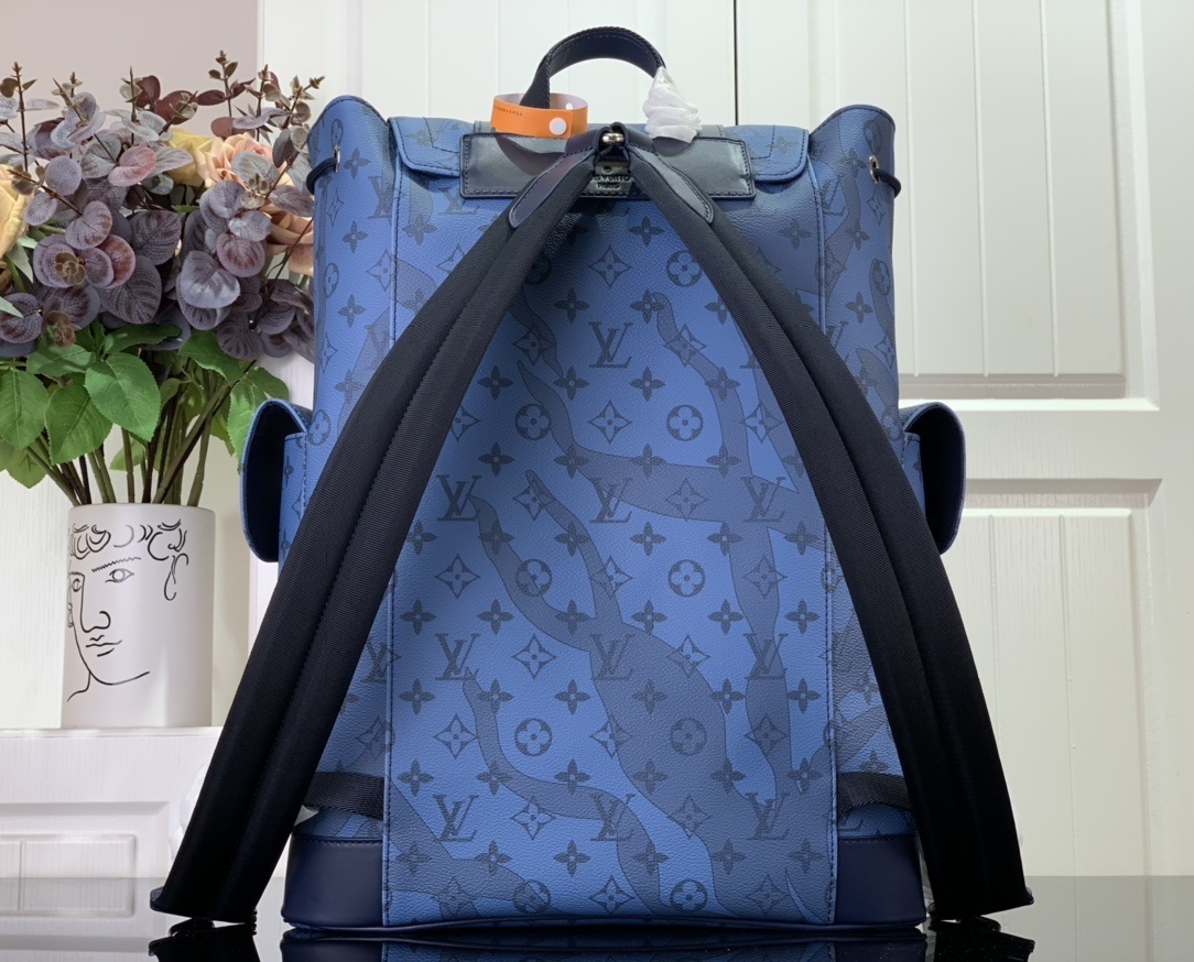 LV Bakcpack m22636 