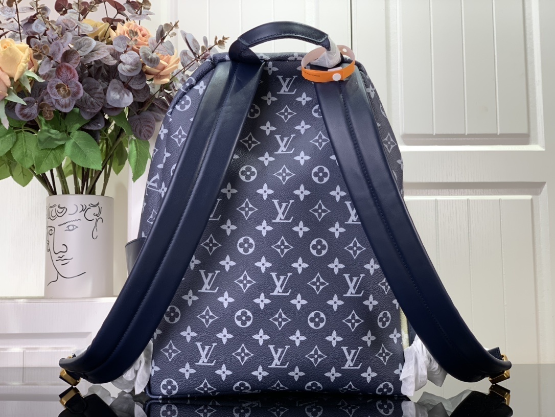 LV Bakcpack M23905