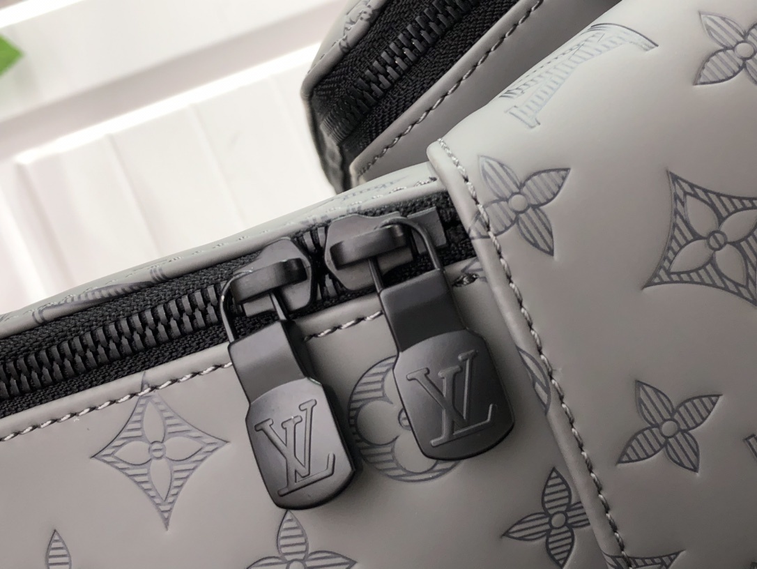 LV Bakcpack m46109