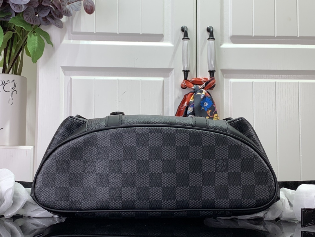 LV Bakcpack m46331