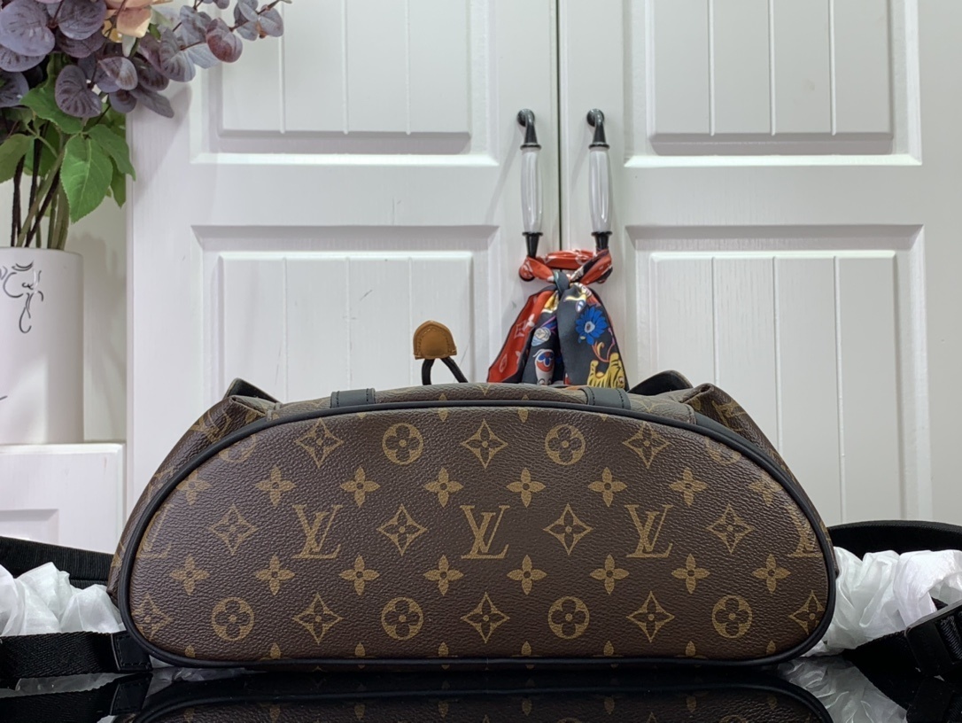 LV Bakcpack M46686 