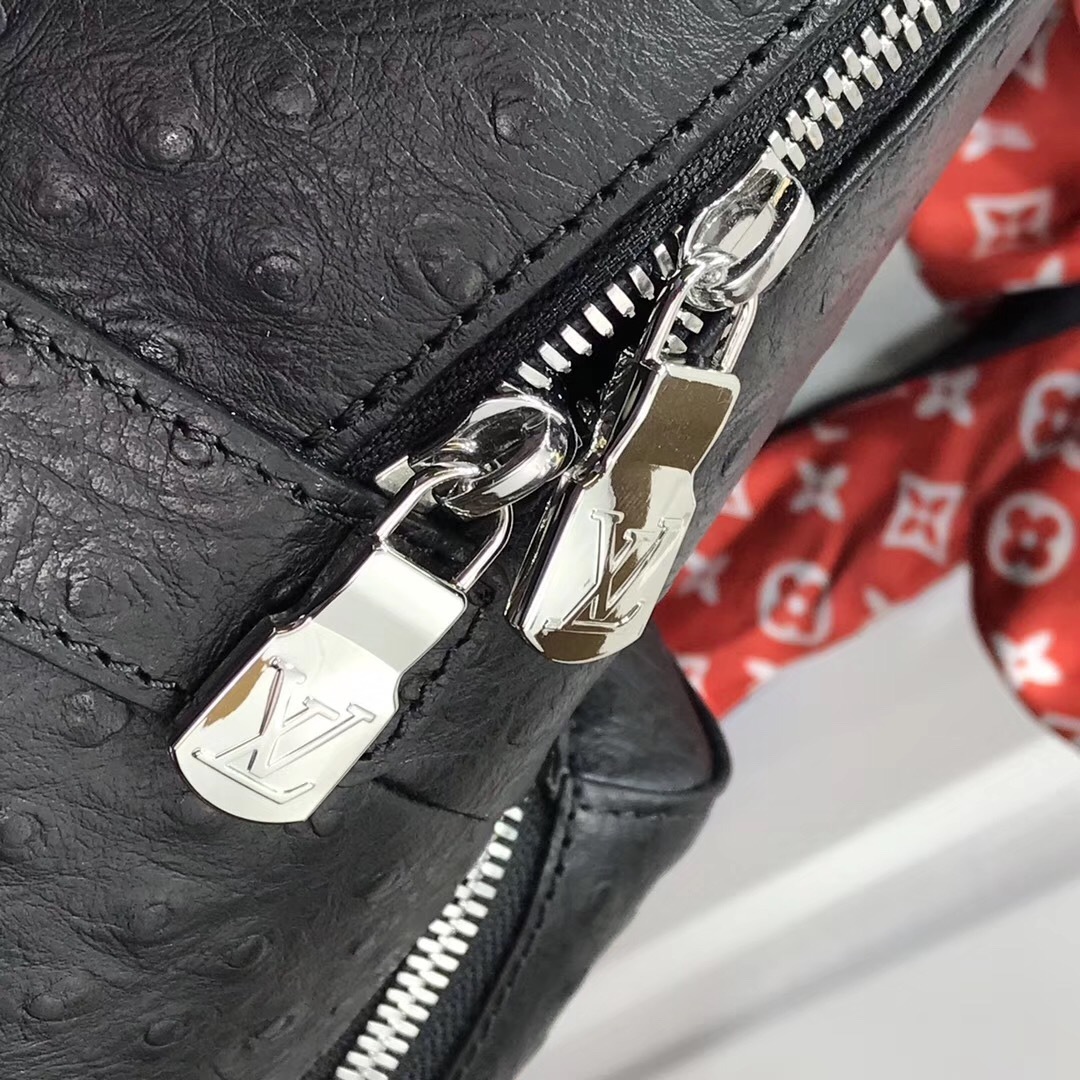 LV Bakcpack M94714TN