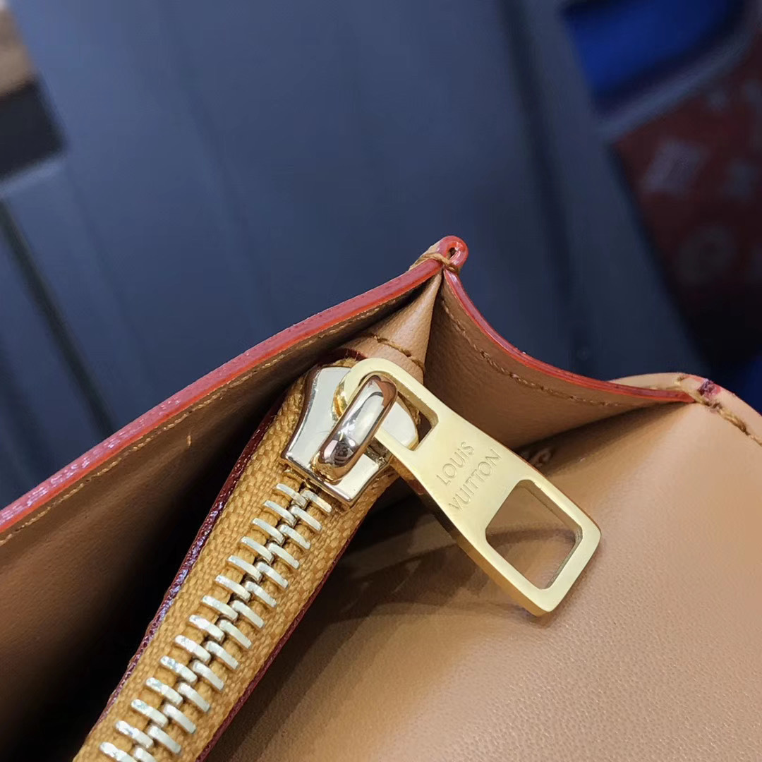 LV BRAZZA wallet M69029