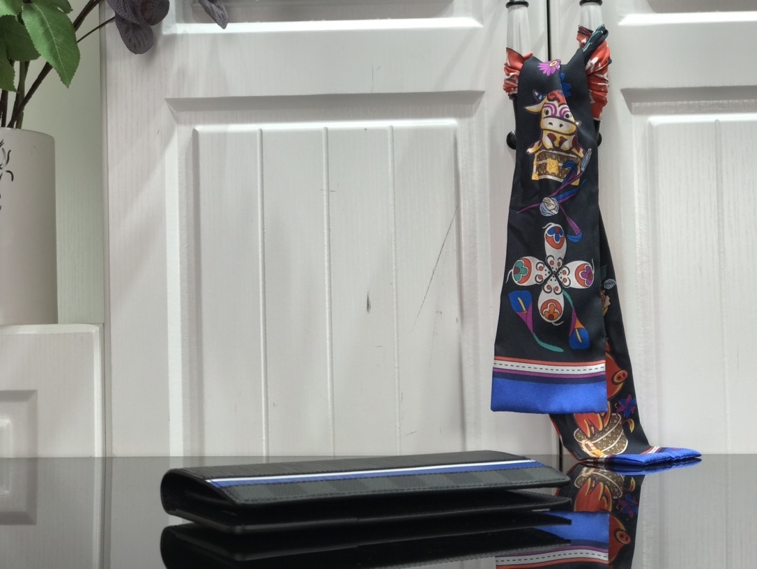 LV BRAZZA wallet M69540