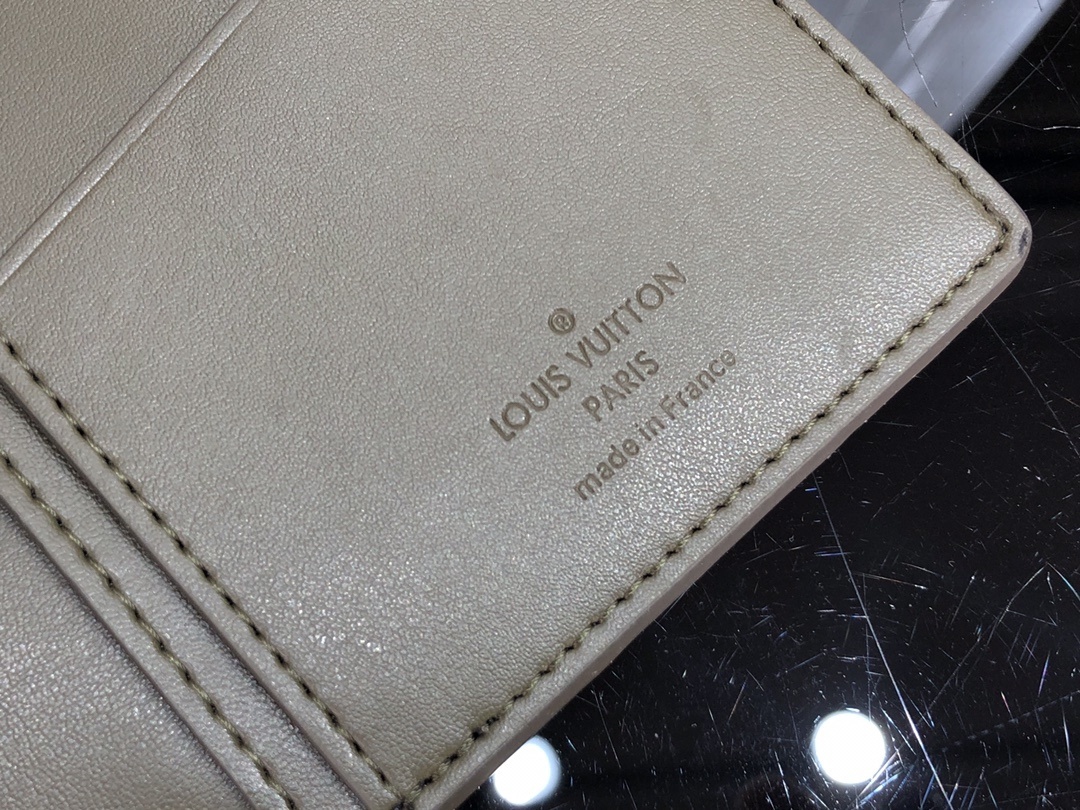 LV BRAZZA wallet M80503SZ