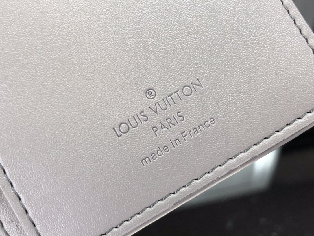 LV BRAZZA wallet M81335 