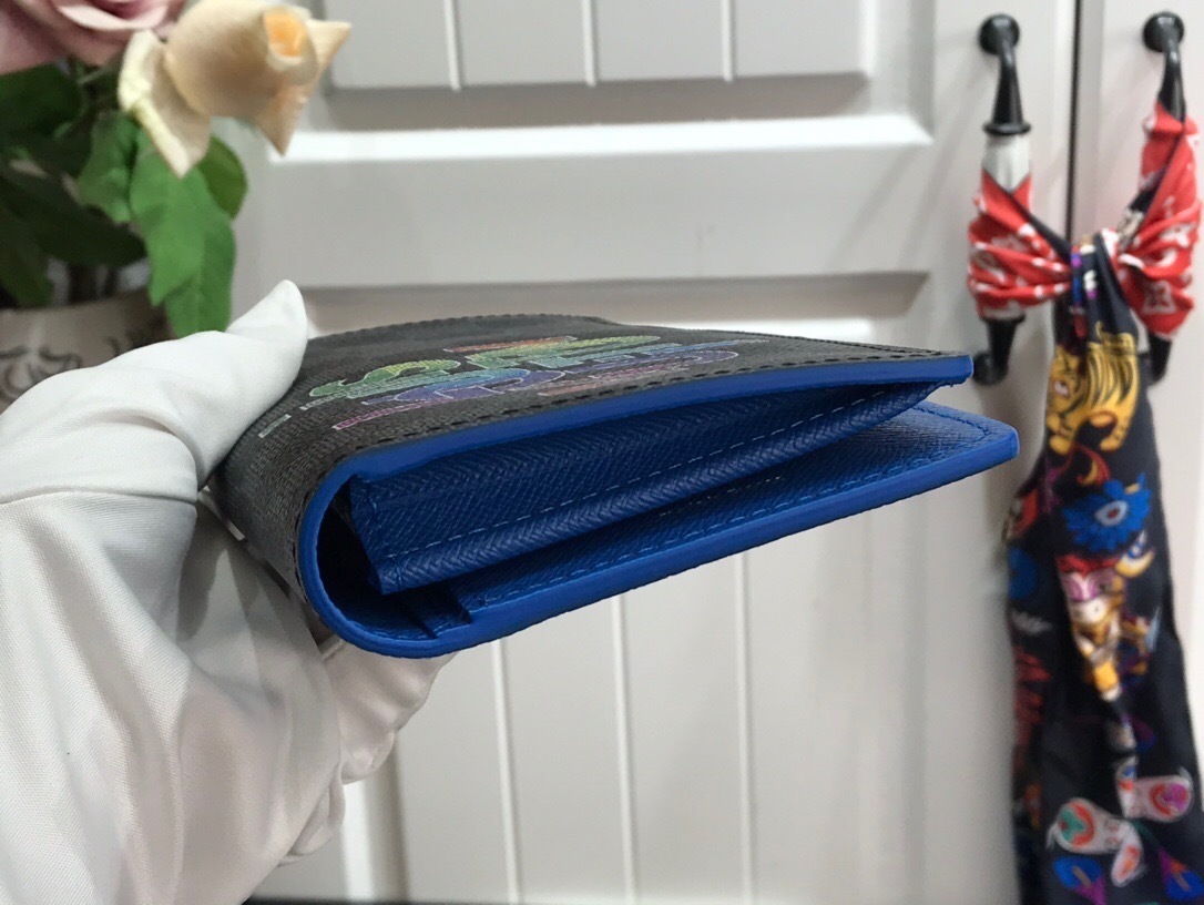 LV BRAZZA wallet N60326