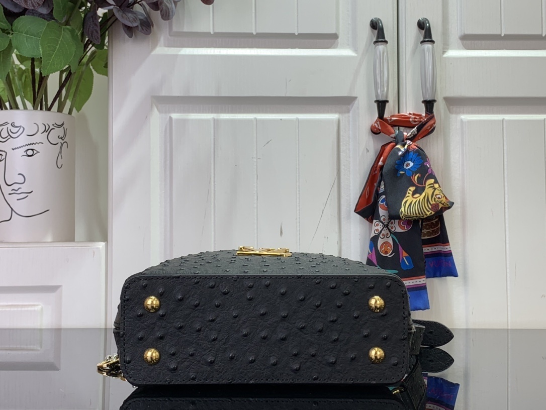 LV CAPUCINES m12935
