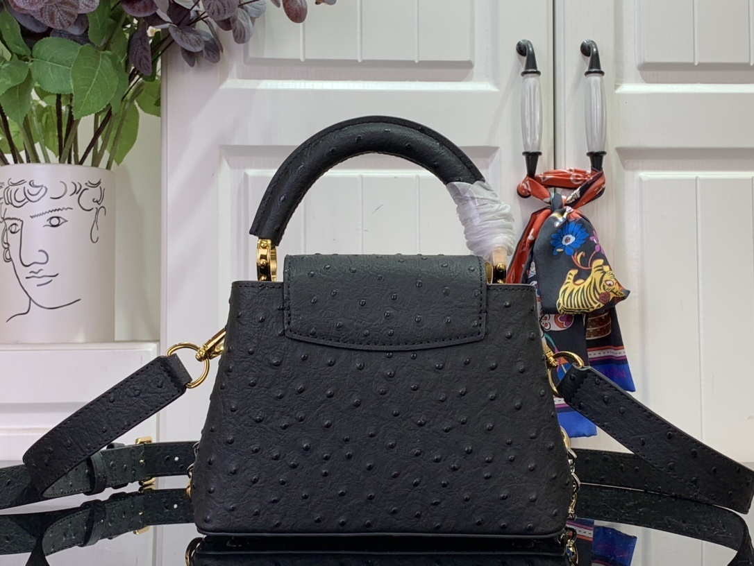 LV CAPUCINES m12935