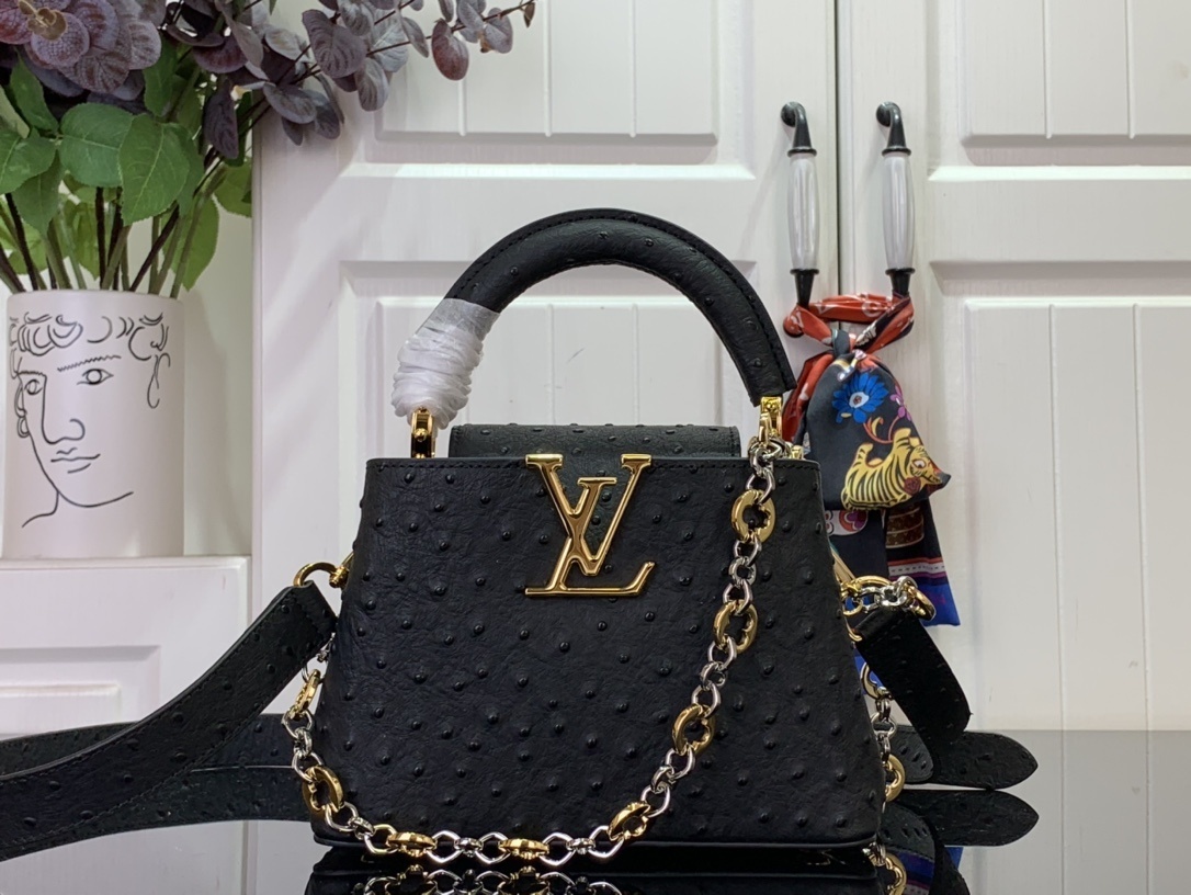 LV CAPUCINES m12935
