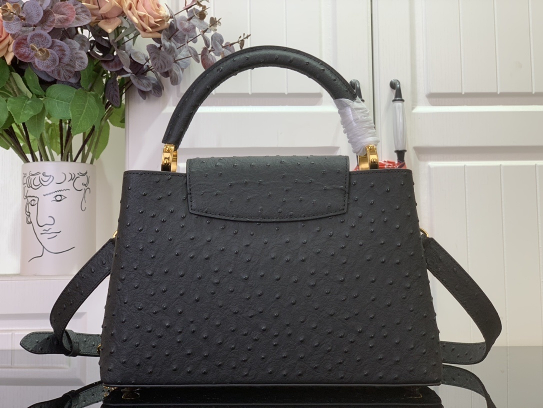 LV CAPUCINES m12935