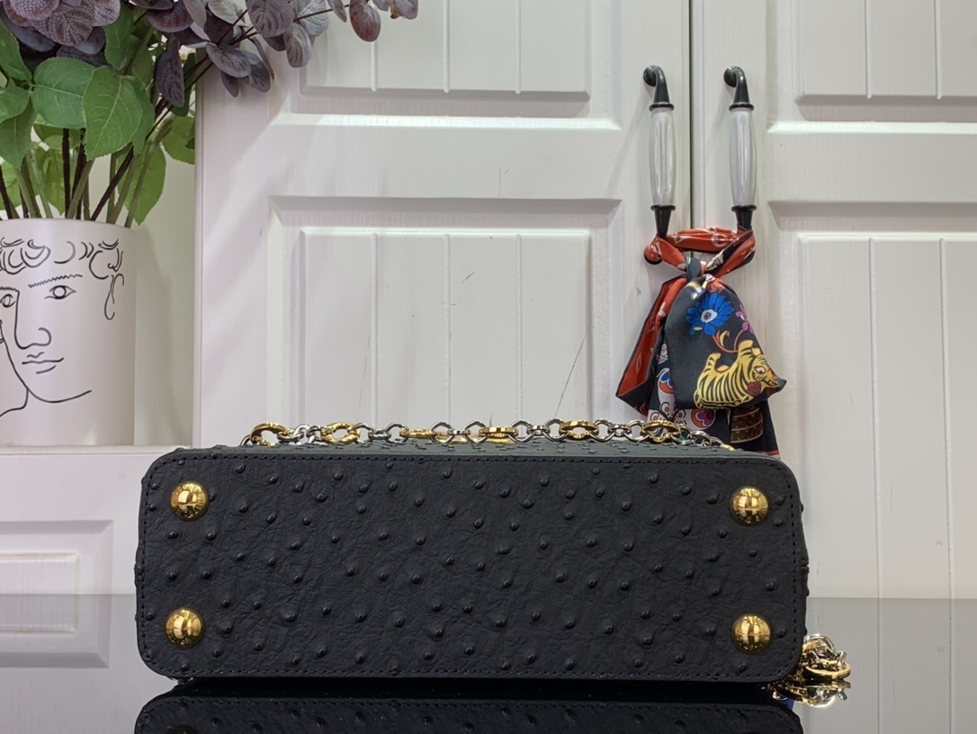 LV CAPUCINES m12935