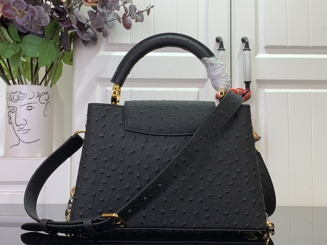 LV CAPUCINES m12935