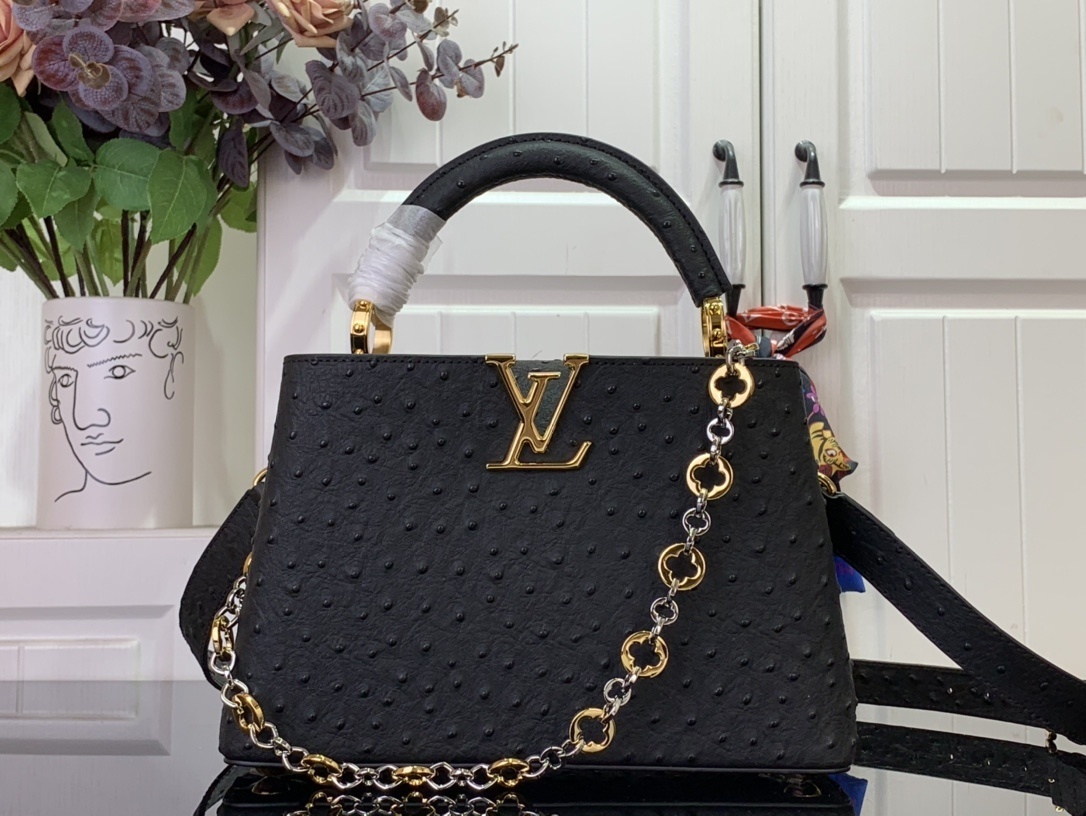 LV CAPUCINES m12935