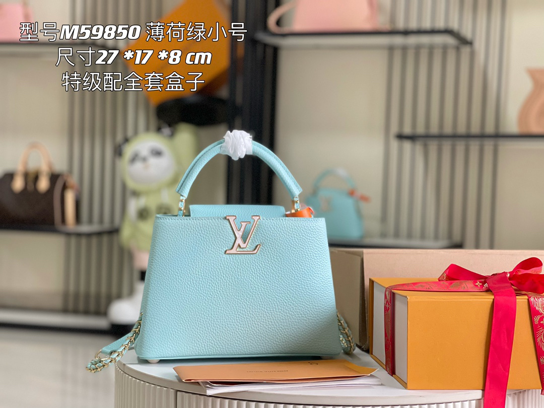 LV capucines bag 21202A 