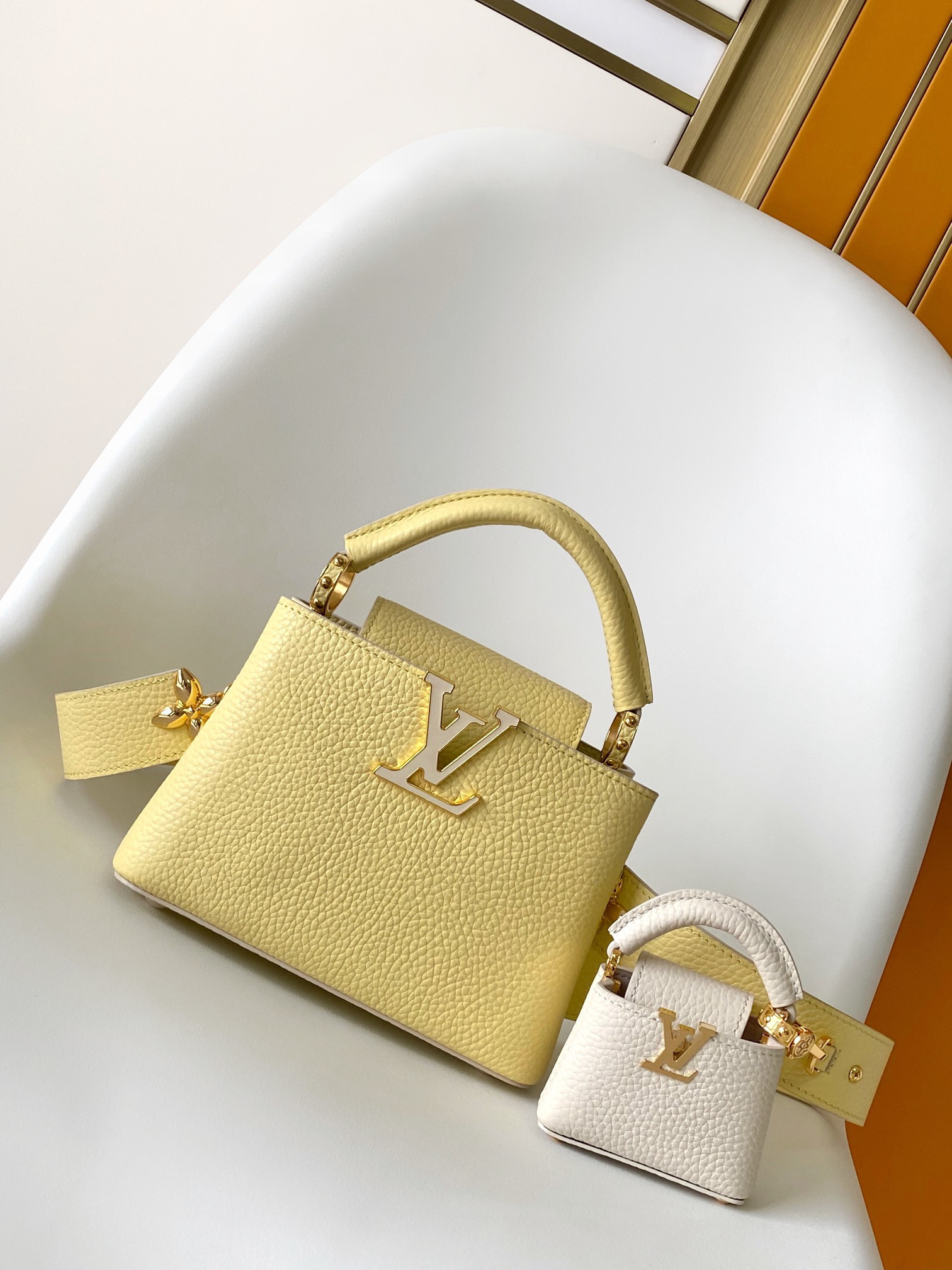 LV capucines bag 21202A 