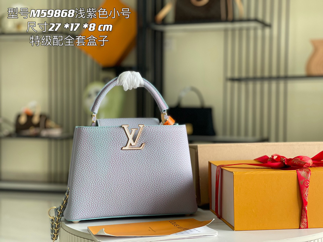 LV capucines bag 21202A 