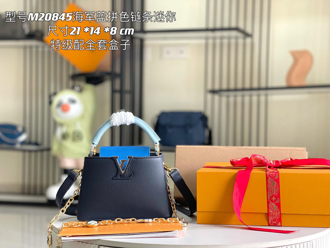 LV capucines bag 21202A 