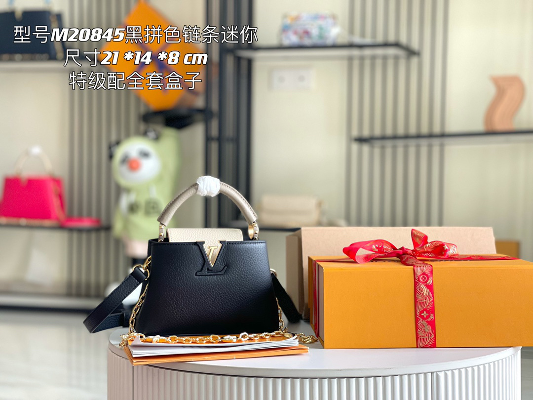 LV capucines bag 21202A 