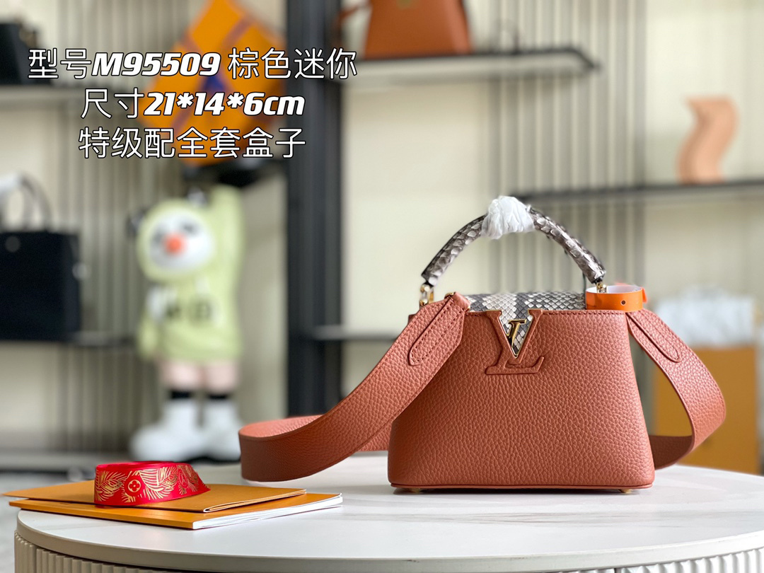 LV capucines bag 21202A 
