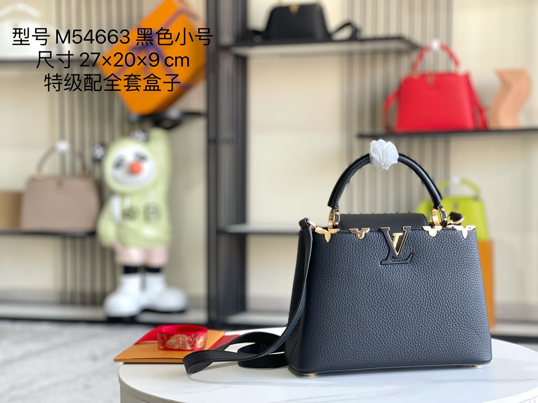 LV capucines bag 21202A 