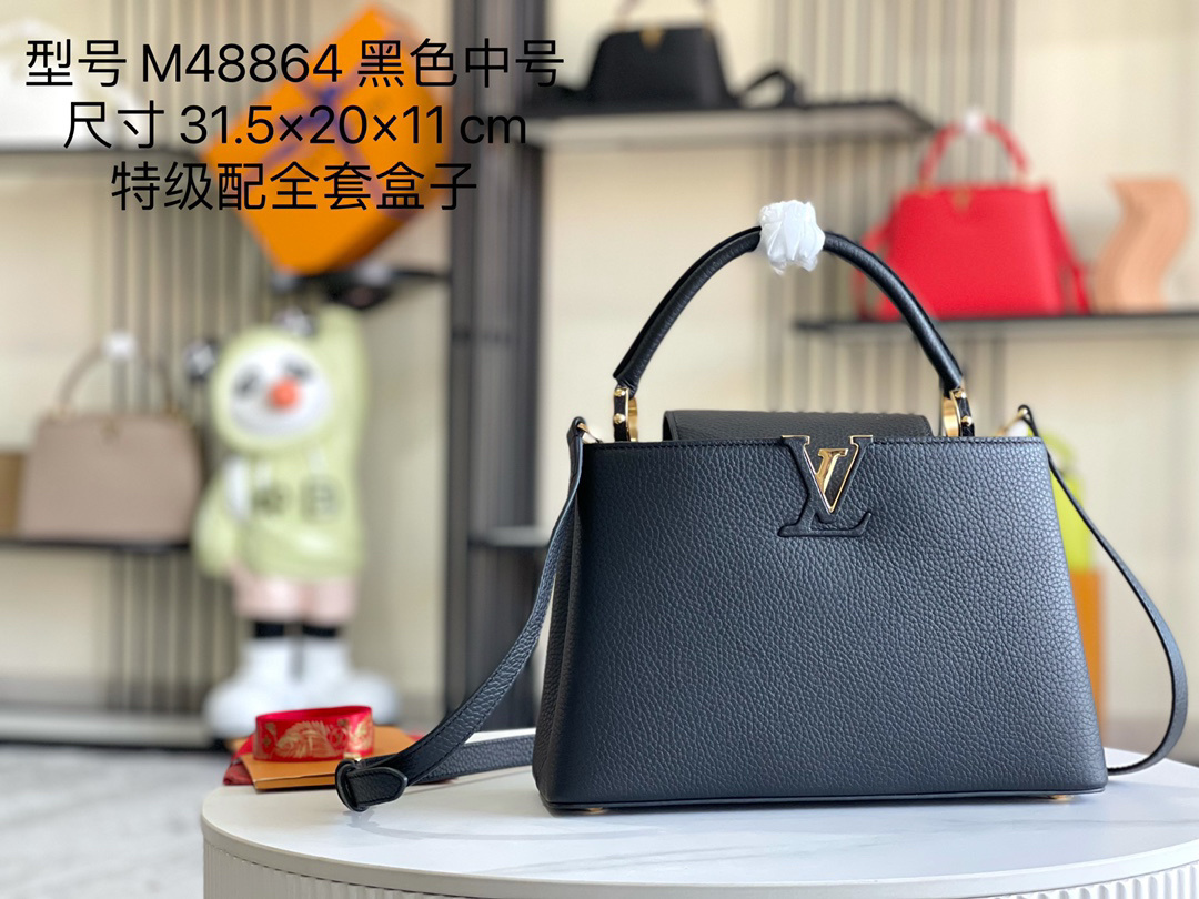 LV capucines bag 21202A 