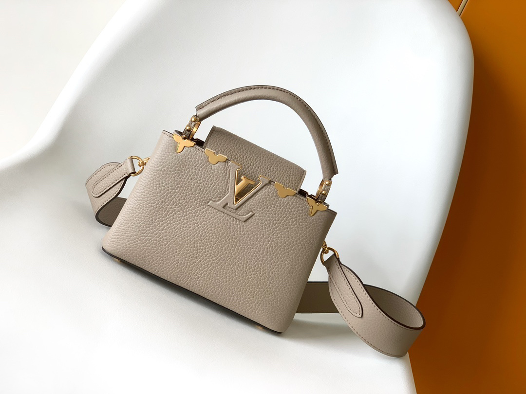 LV capucines bag 21202A 