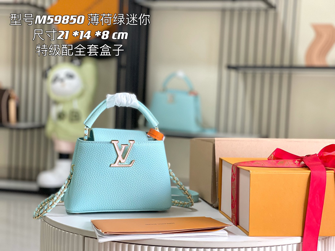 LV capucines bag 21202A 