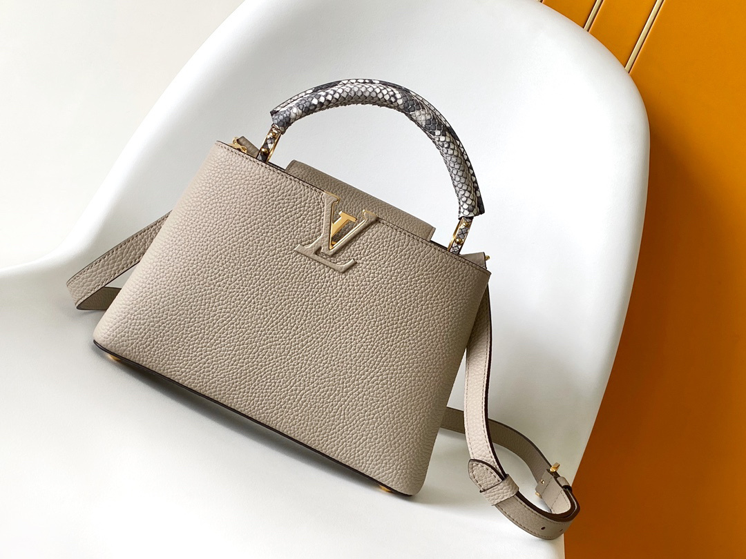 LV capucines bag 21202A 