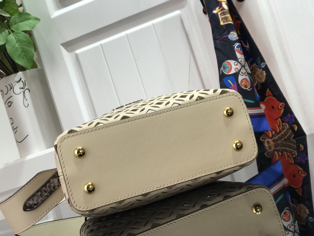 LV CAPUCINES BB N98426