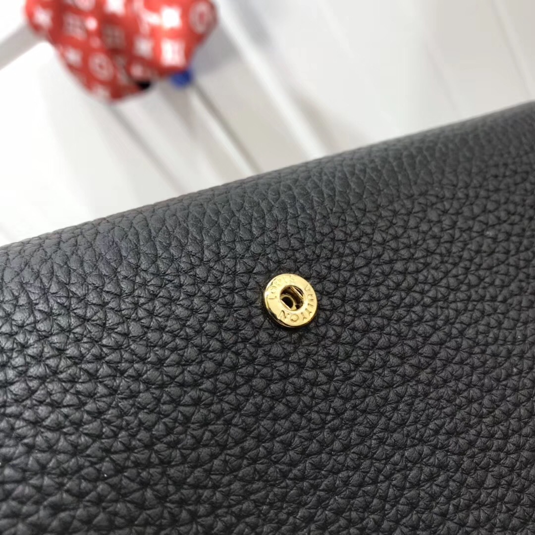 LV CAPUCINES wallet M61248