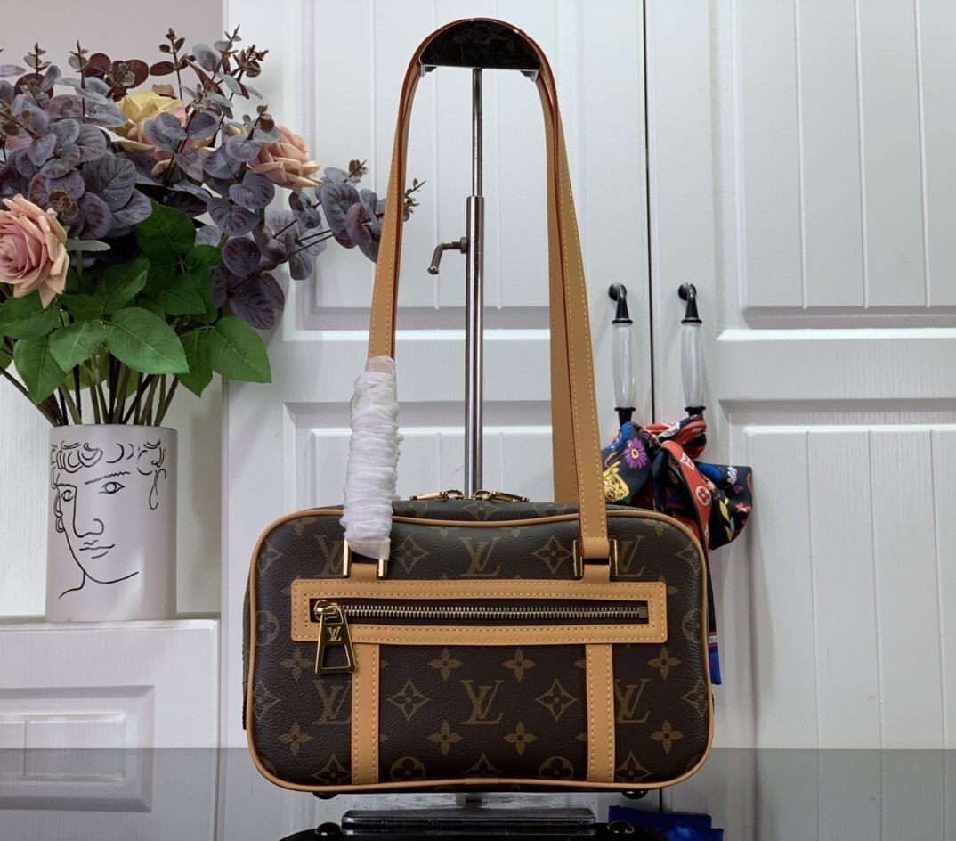 LV CITE BAG M46321