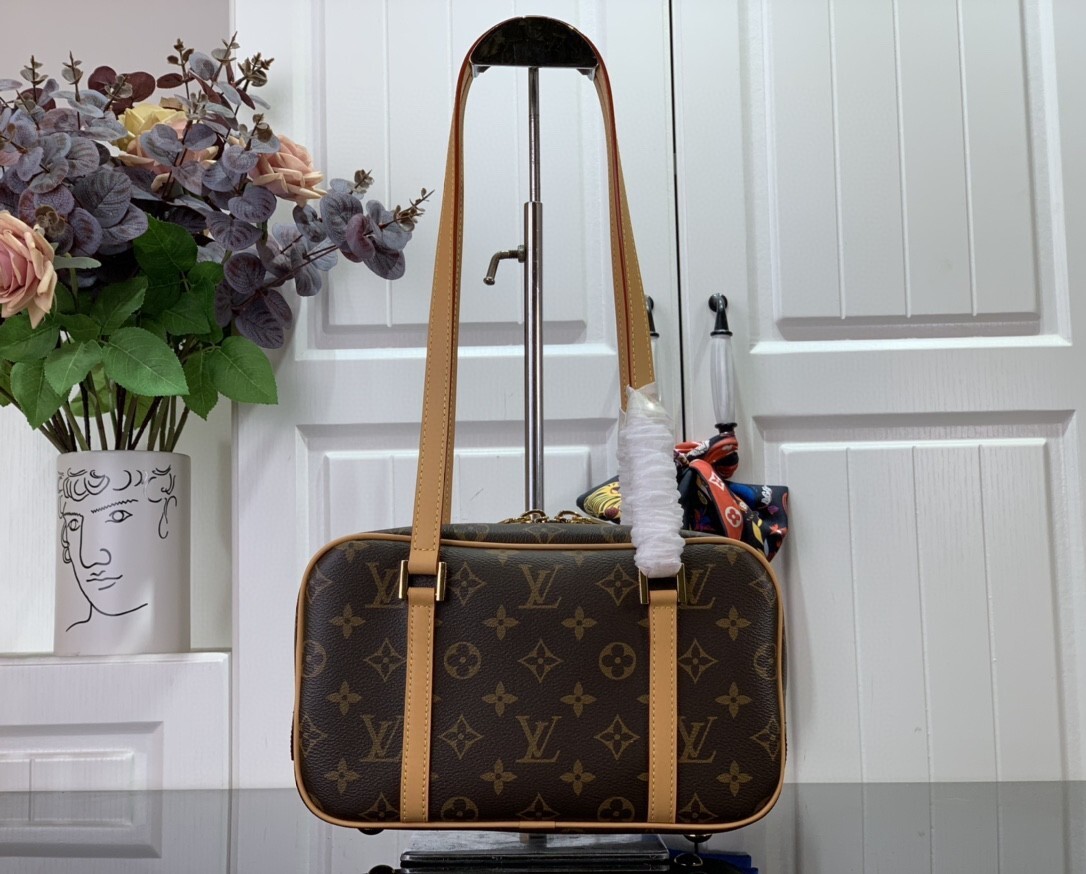 LV CITE BAG M46321