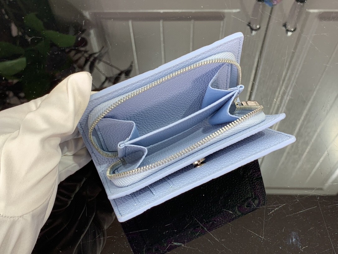 LV CLEA wallet M81529