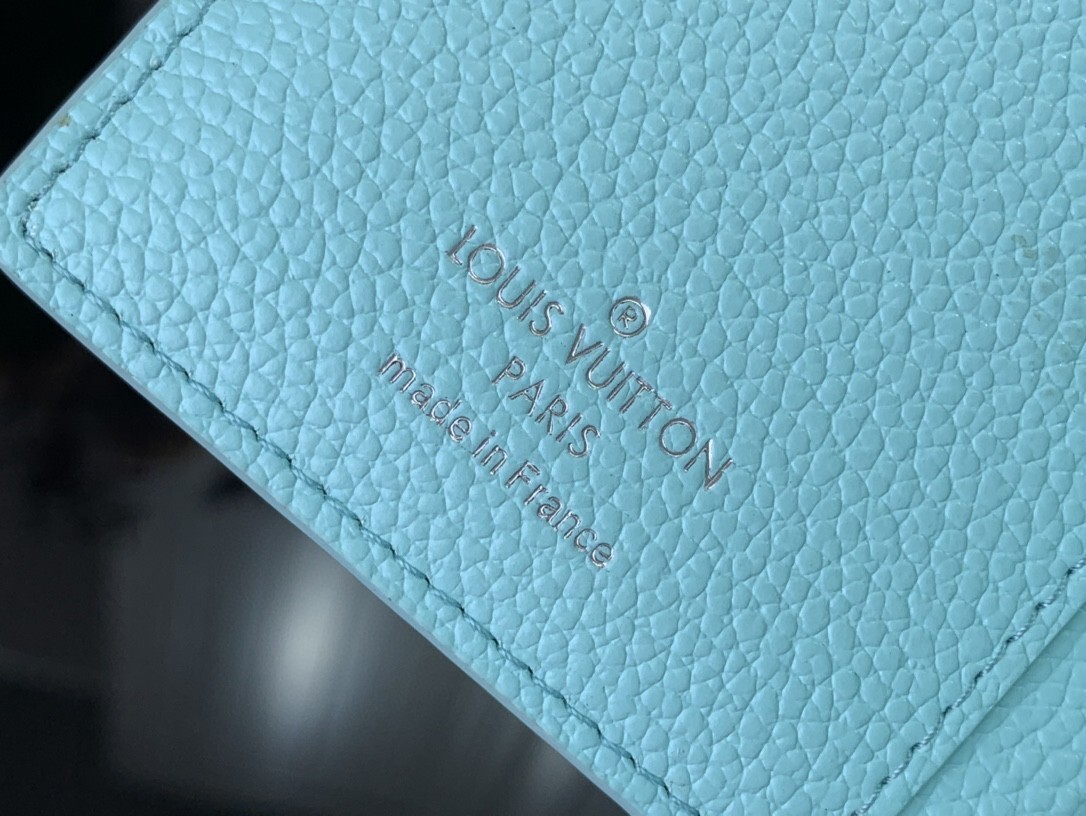 LV CLEA wallet M81529