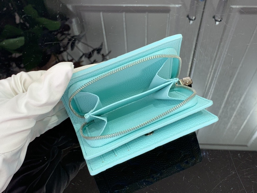 LV CLEA wallet M81529