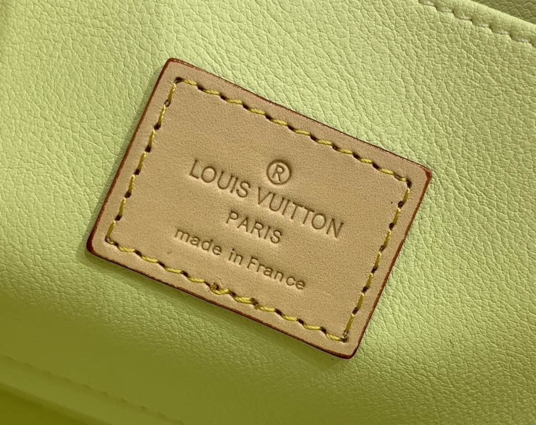 LV Clutch bag N40740