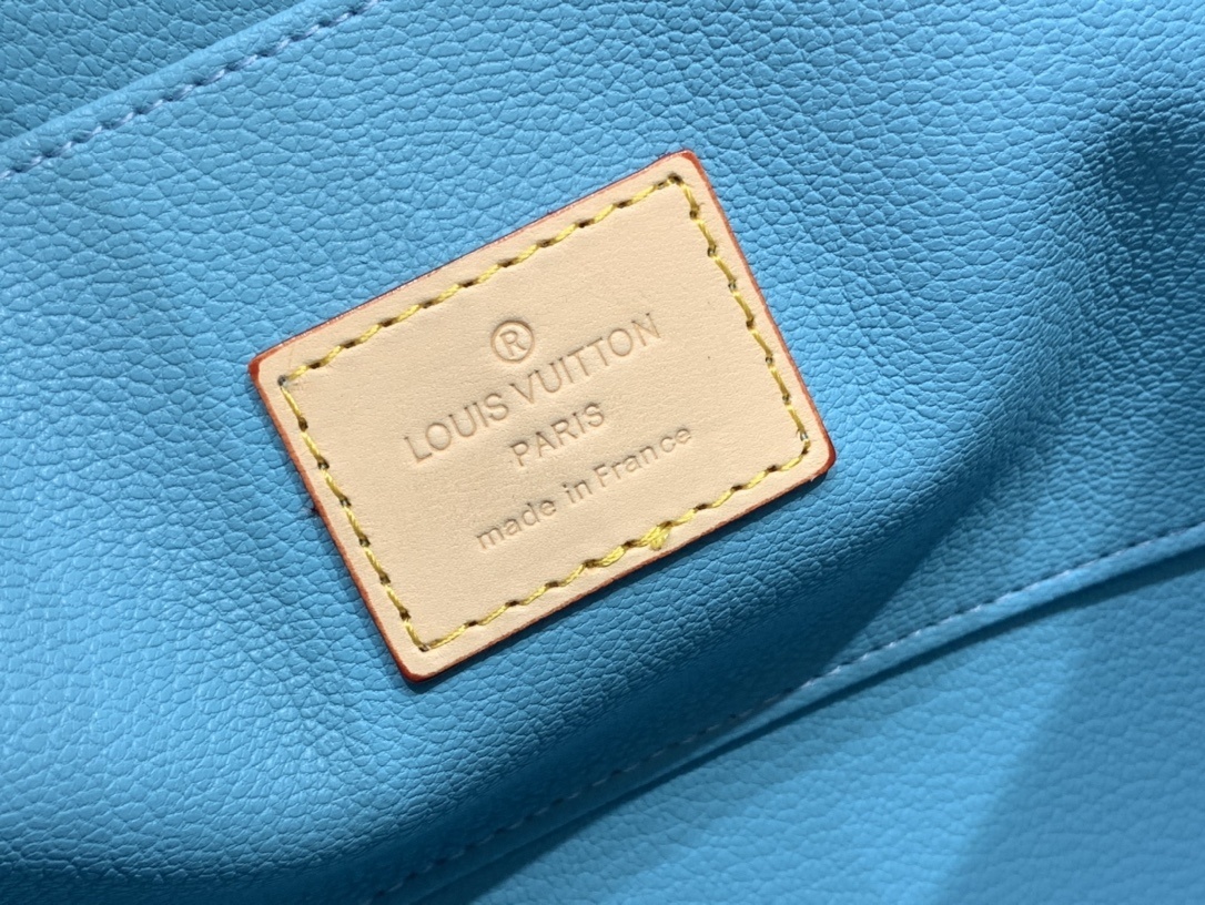 LV Clutch bag N40740