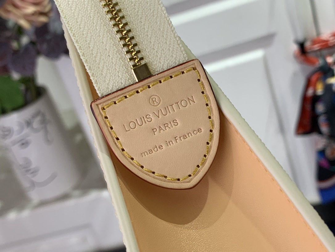 LV Clutch bag N40740