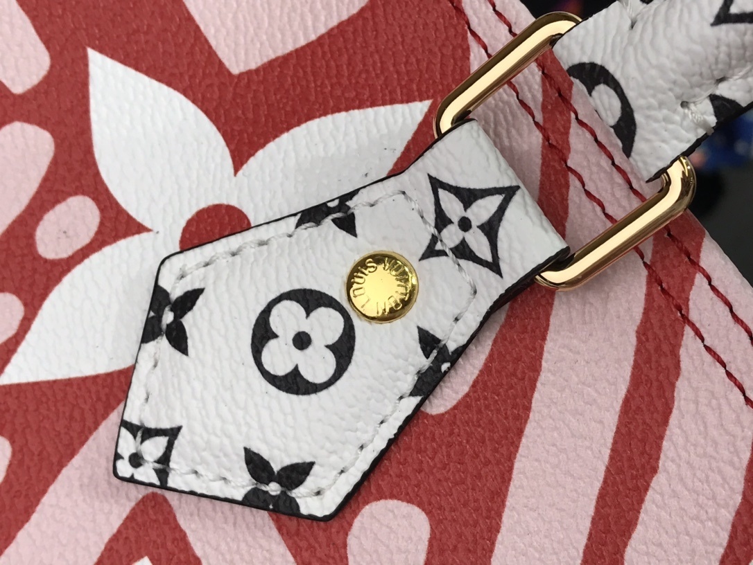 LV CRAFTY SPEEDY BANDOULIERE 25 M56588 