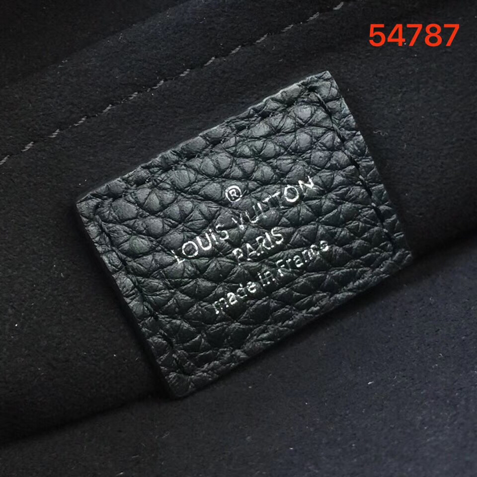 LV DANUBE PM BAG M54787HY