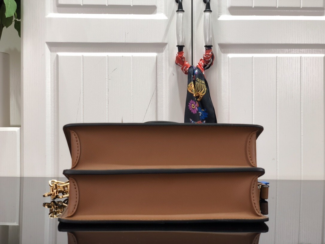 LV DAUPHINE MM M45958