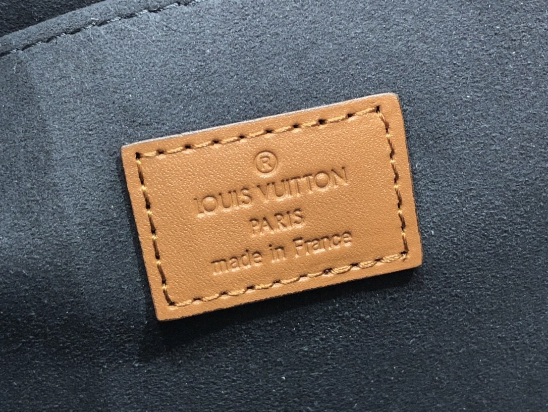 LV DAUPHINE MM M45958