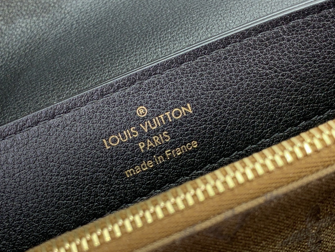 LV DAUPHINE SOFT M25209