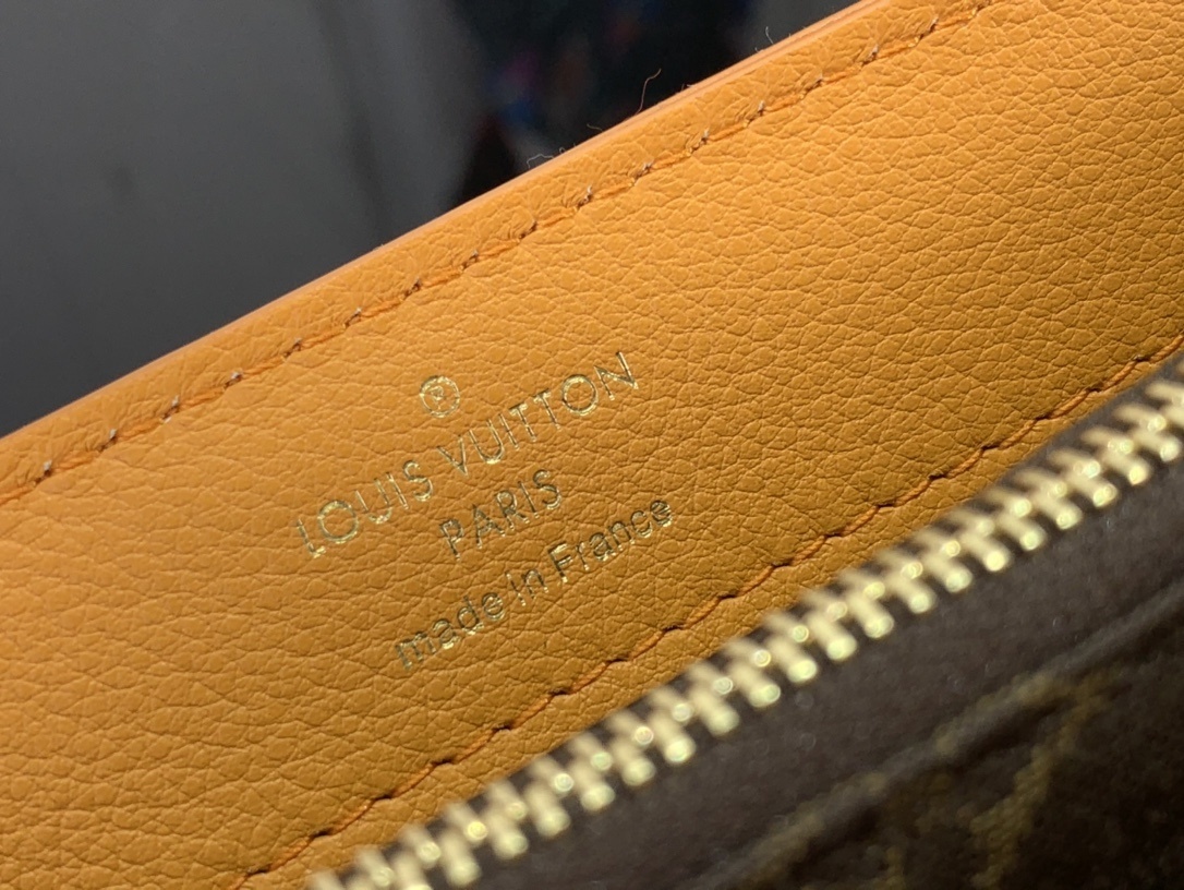 LV DAUPHINE SOFT M25209