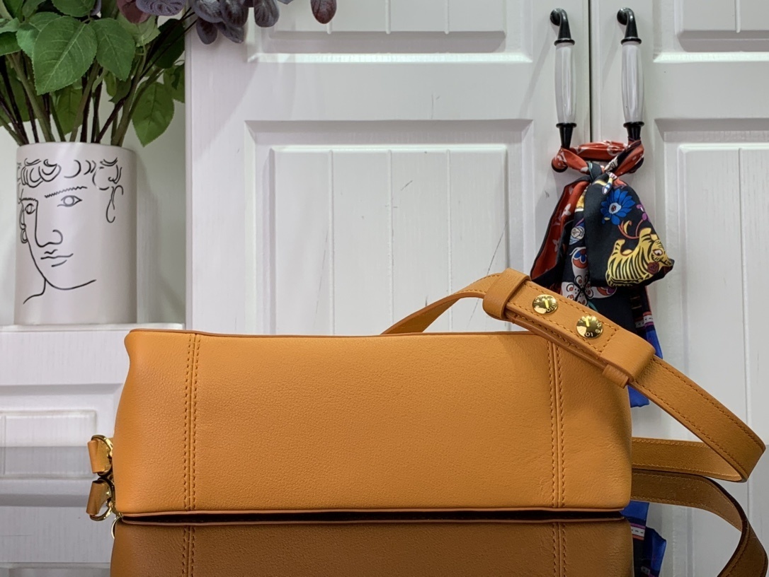 LV DAUPHINE SOFT M25209