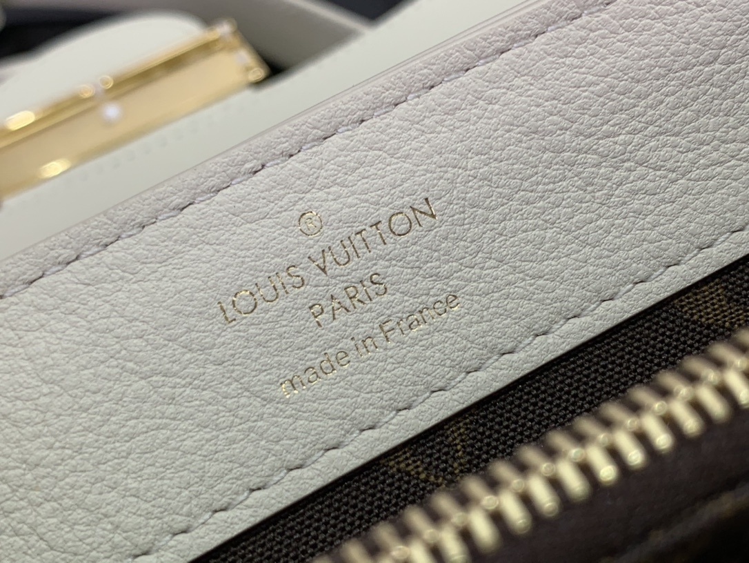 LV DAUPHINE SOFT M25209